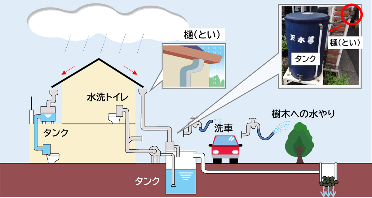 雨水の貯め方と利用