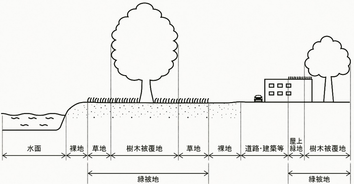 緑被地説明図