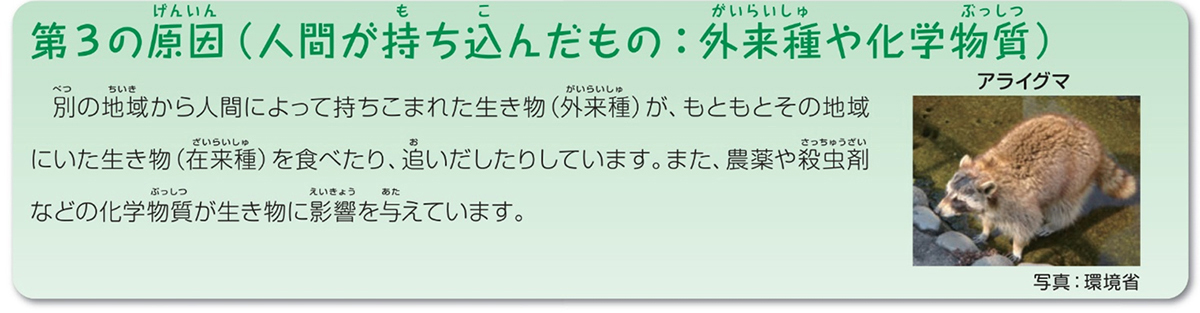 生物多様性を脅かす原因-人間が持ち込んだもの：外来種や化学物質