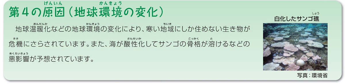 生物多様性を脅かす原因-地球環境の変化